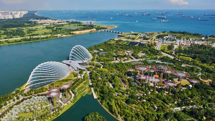 singapore--garden-by-the-bay--supertree-grove-638256268-fa59e7e78b6449aaa40f68eafe6ff1a1
